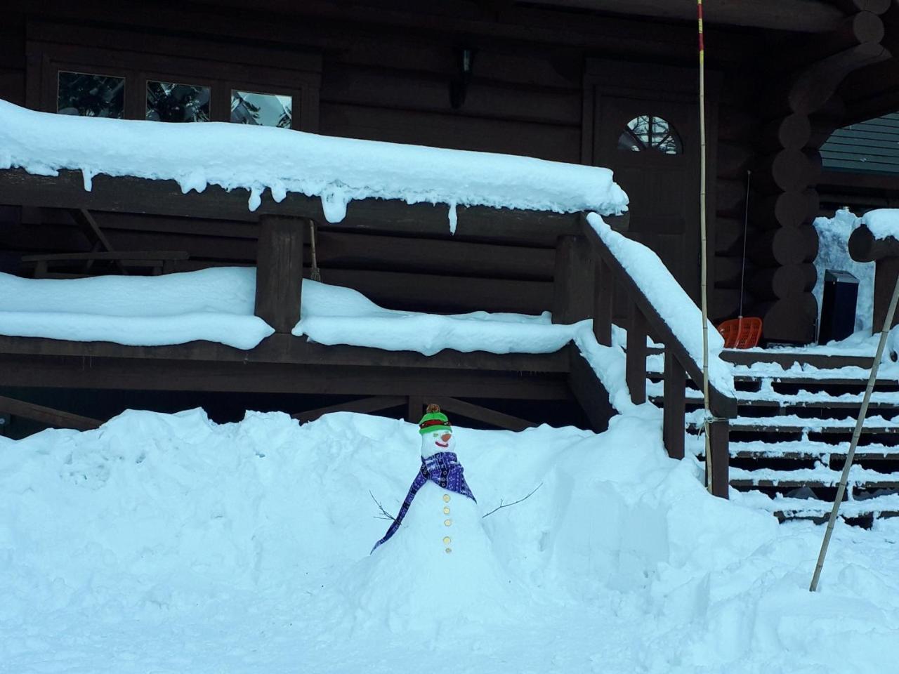Campagne Hakuba Villa Rum bild
